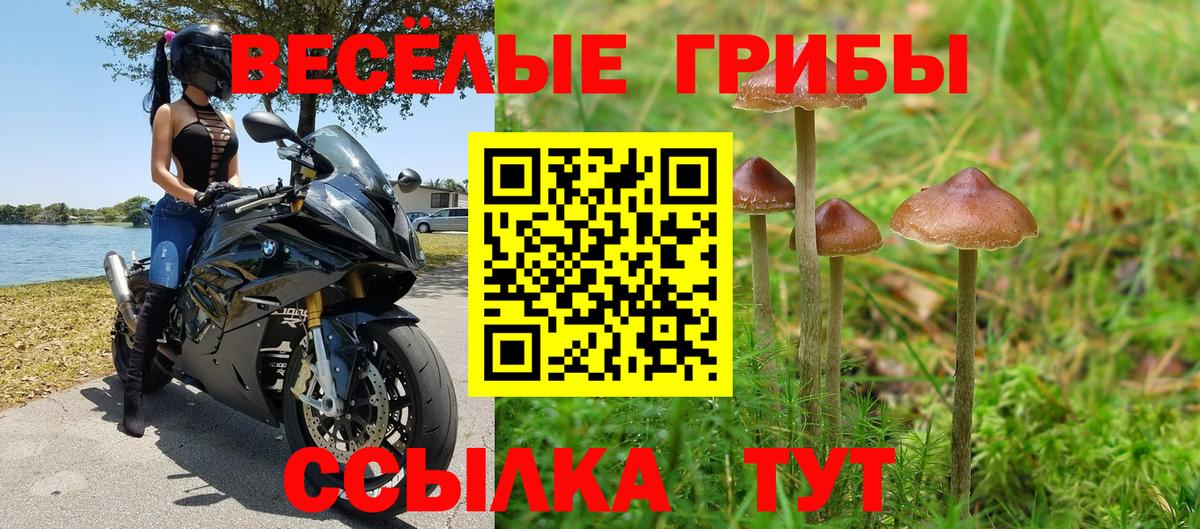 Псилоцибиновые грибы Magic Shrooms Ковров