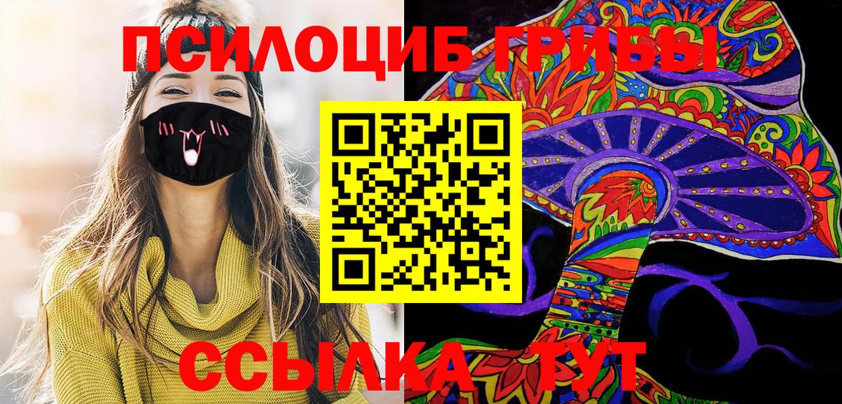 Ковров  Галлюциногенные грибы прущие грибы  Вход с VPN 